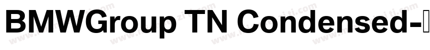 BMWGroup TN Condensed字体转换